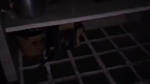 😨👹 You Won't Believe What Was Revealed! Ghost Shows Itself in Pot | TheHauntingHour