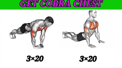 Back best workout at Home 🔥💪