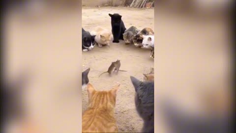 Winner Walks Away With Their Life