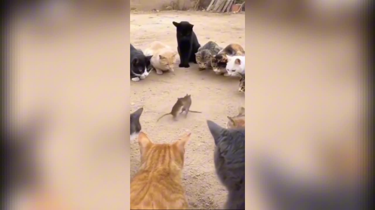 Winner Walks Away With Their Life