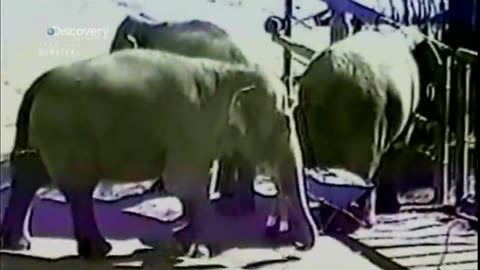 EKSTREMALNE WYPADKI - PRACA dokument pl