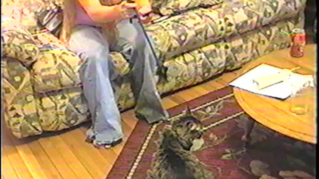 2004-VA-Lydia