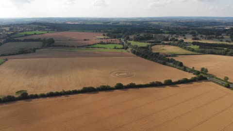 CLEARWOOD, PRÈS DE WARMINSTER 28/7/2019