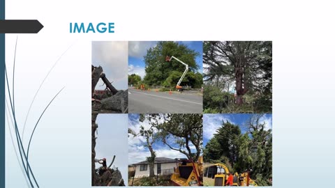 The best Arborist in Ngaurang.
