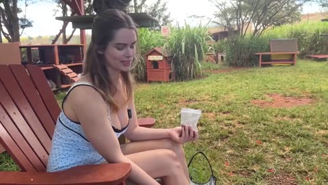 Cat Heaven on Earth – 800 Happy Cats Roaming Free 🐱🌴