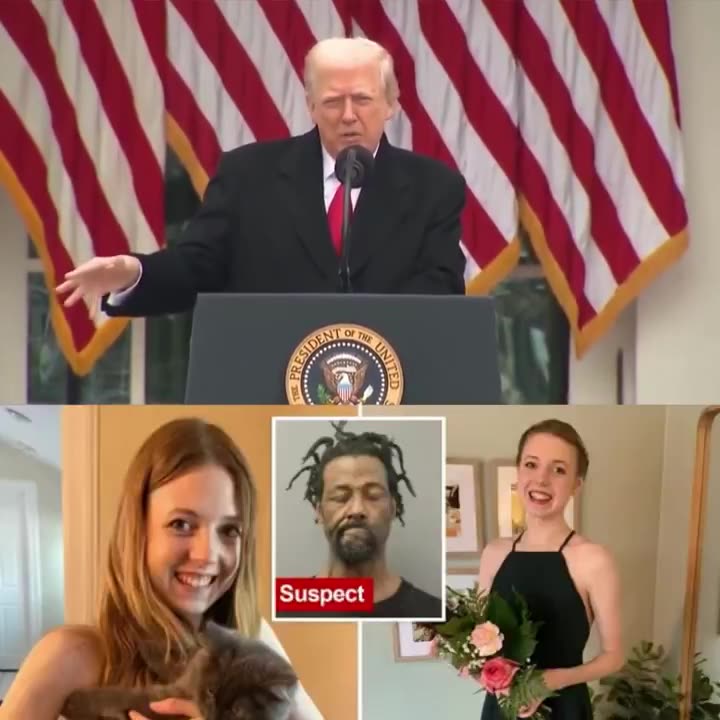 🚨 Trump GOES OFF on Chicago mayor JB Pritzker for allowing 26 y/o to be SET ON FIRE on subway