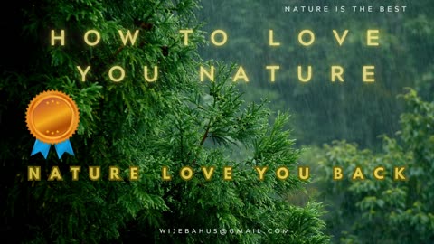Beautiful forest