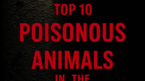 Top 10 Most Poisonous Animals in the World | Deadliest Creatures Revealed!