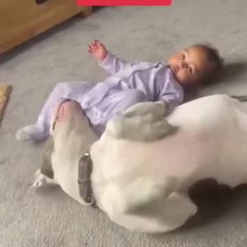 Best Friends Forever