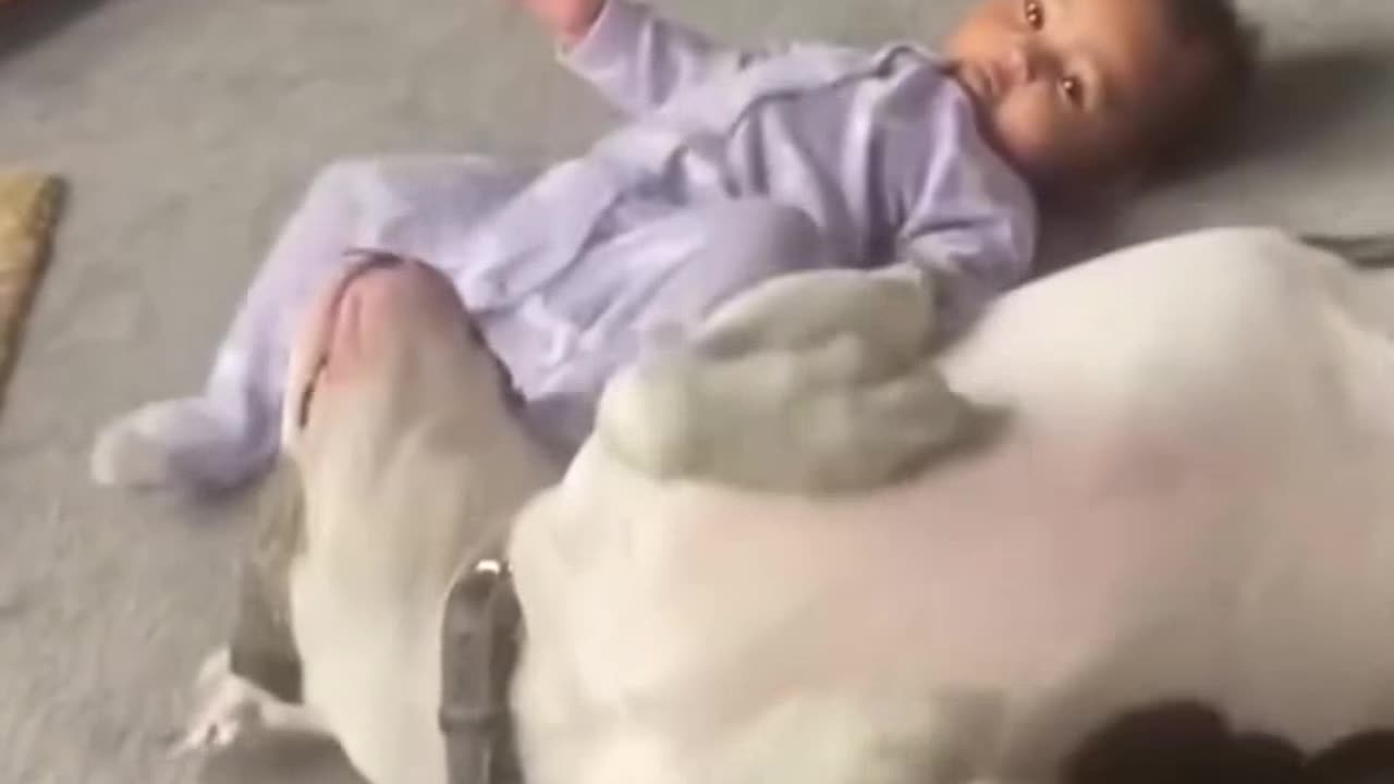Best Friends Forever
