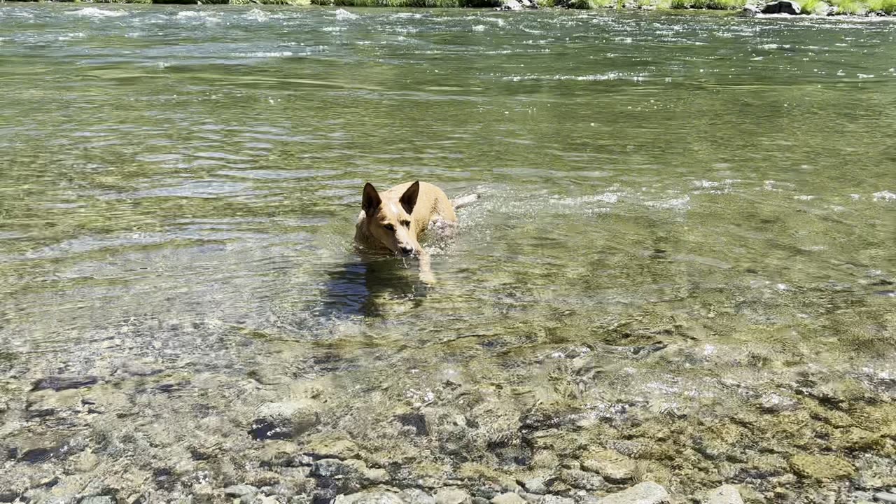 hangin' at the cool stream 329084209842