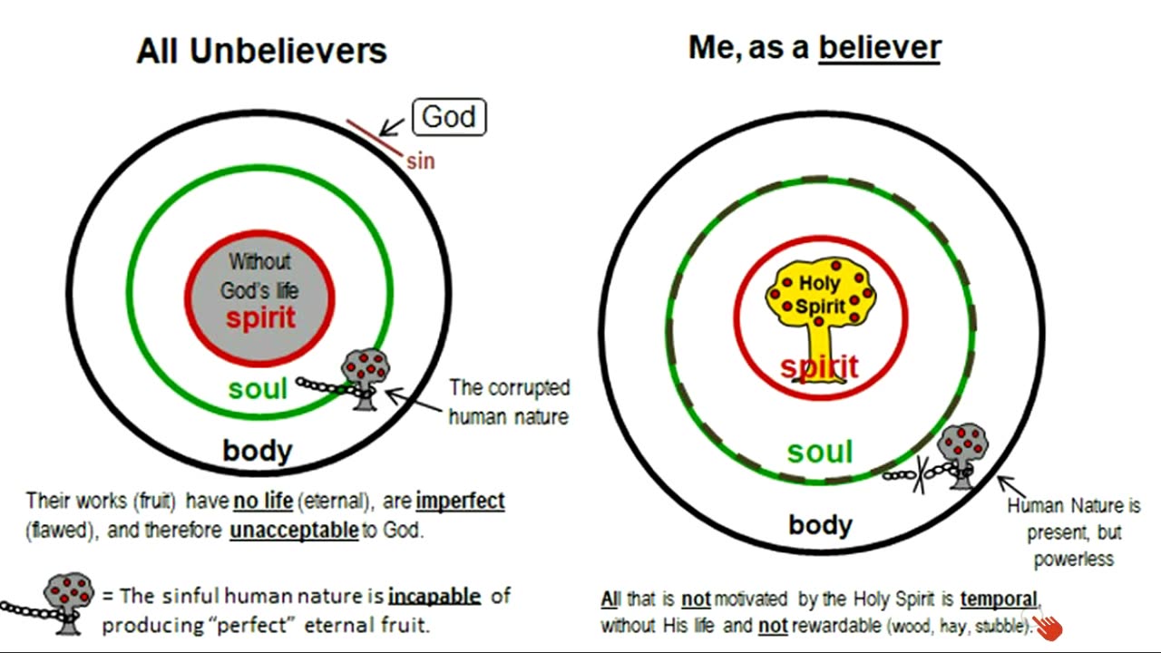 Twin nature of the believer vs. single nature of the unbeliever
