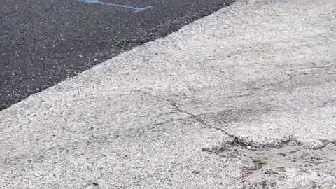 100s of Motorcycle Bikers Escort Vietnam Memorial Wall in Rockledge FL - Patriotic 2021 Video
