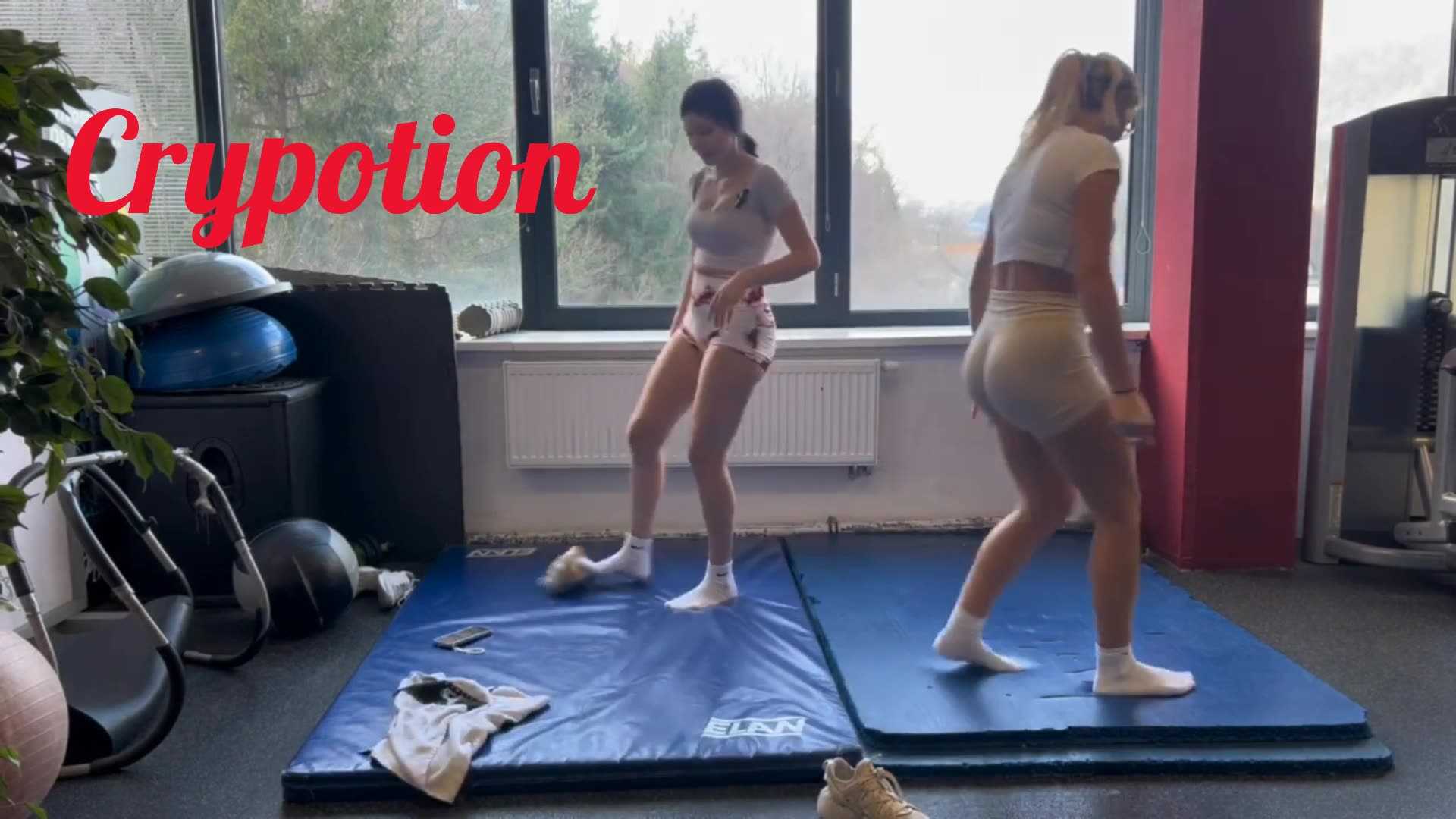 Crypotion_basic-file 57