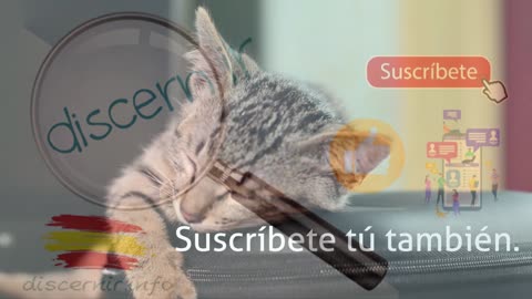 ESPERANDO... LA NUEVA PUBLICACIÓN DE DISCERNIR