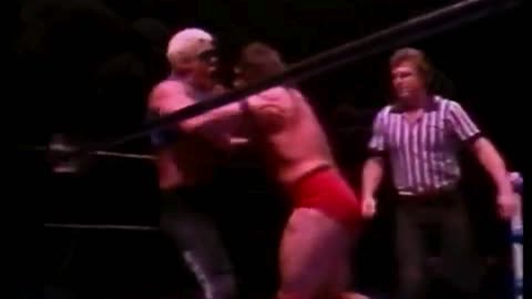Sting & Ultimate Warrior vs. Ted Dibiase & Steve Williams