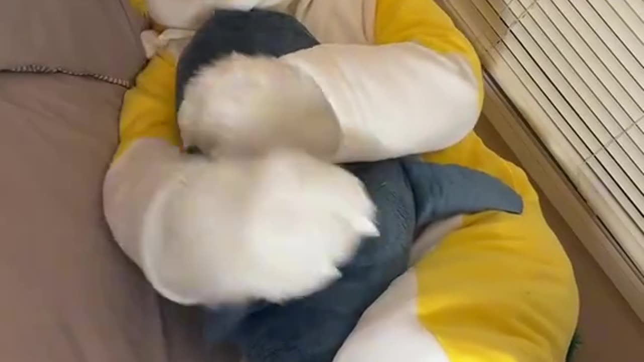 .