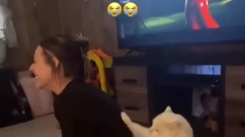 “Meow Wonders: What If I’m Gone from This Family? 🐱💔”