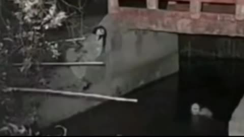 ⚠️👻 Poltergeist Activity Caught on Camera—You Won't Believe This Paranormal Chaos | TheHauntingHour