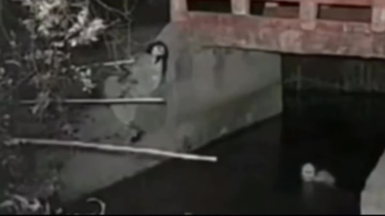 ⚠️👻 Poltergeist Activity Caught on Camera—You Won't Believe This Paranormal Chaos | TheHauntingHour