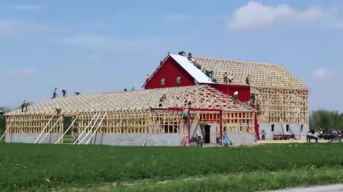 THE AMISH BUILDING A FARM IN ONE DAY