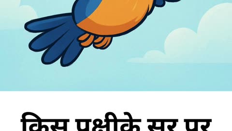 funny jokes