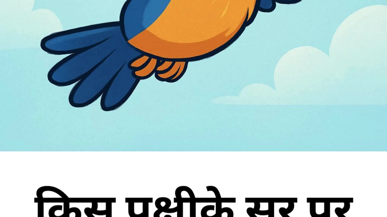 funny jokes