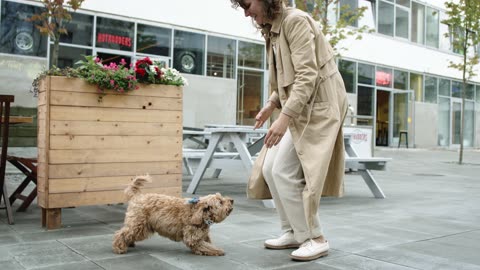 What’s Trending in the World of Luxury Dog Apparel?