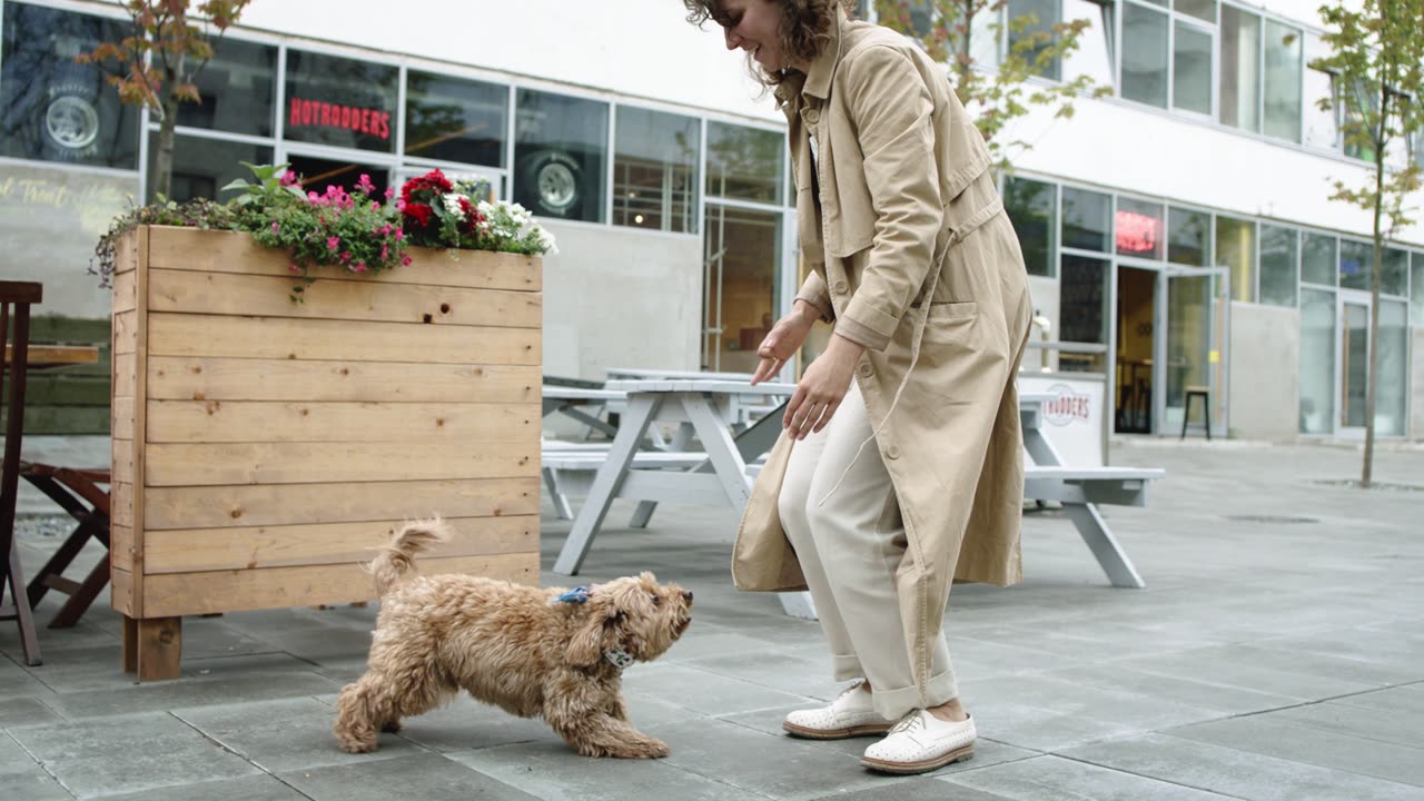 What’s Trending in the World of Luxury Dog Apparel?