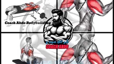 💪 تَفجير الترايسبس! | Top 4 Triceps Exercises for Bigger Arms 🔥