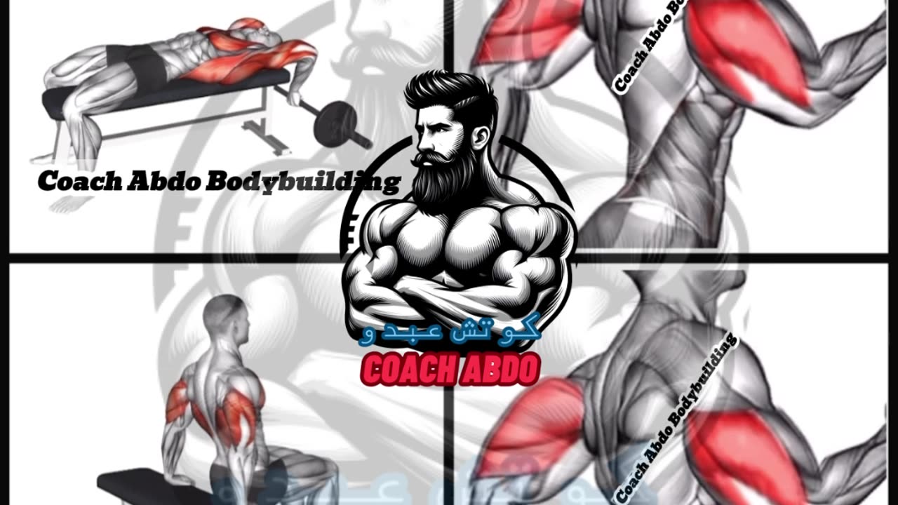 💪 تَفجير الترايسبس! | Top 4 Triceps Exercises for Bigger Arms 🔥