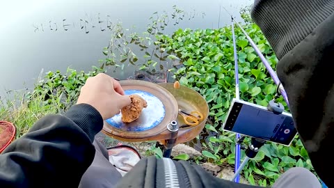 Catfish Noodling in River Deep Holes
