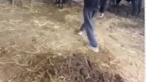 Top 🔝 Funny Video 🤣📸😂😂