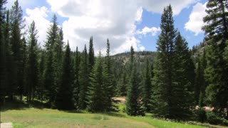 Cold Springs Road: An Awesome Adventure