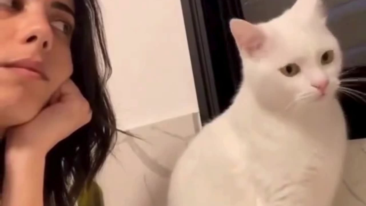 When your cat becomes your therapist 🐱💬💕