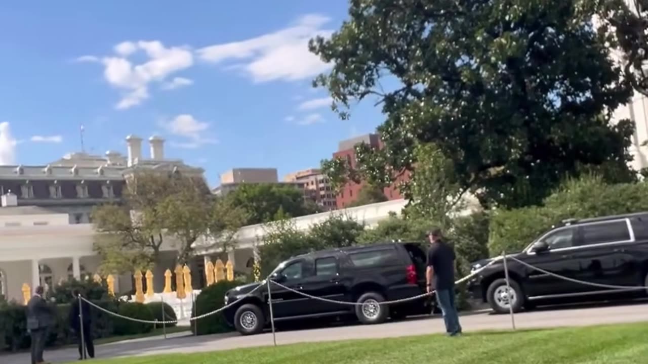 Why Is Trump Playing Elvis Music?? -- Anons Curious