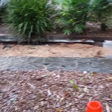 2.3.2025 Work in Progress