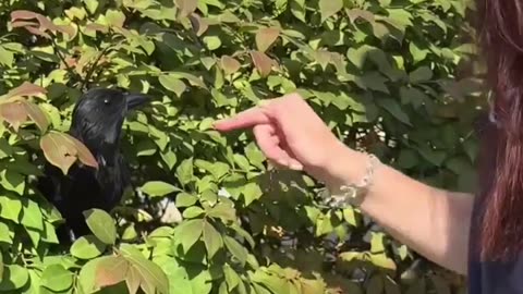 😋🔥 Mmmmm... Sprinkles Fail That Will Make You Cringe and Laugh! | FunFM