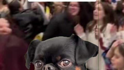 Why does my wife keep talking?