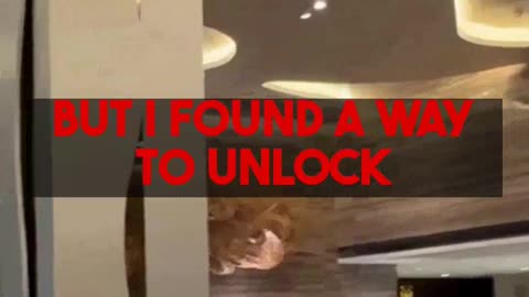 Mighty Travels Premium The Tool for Business Class 5-Star Travel