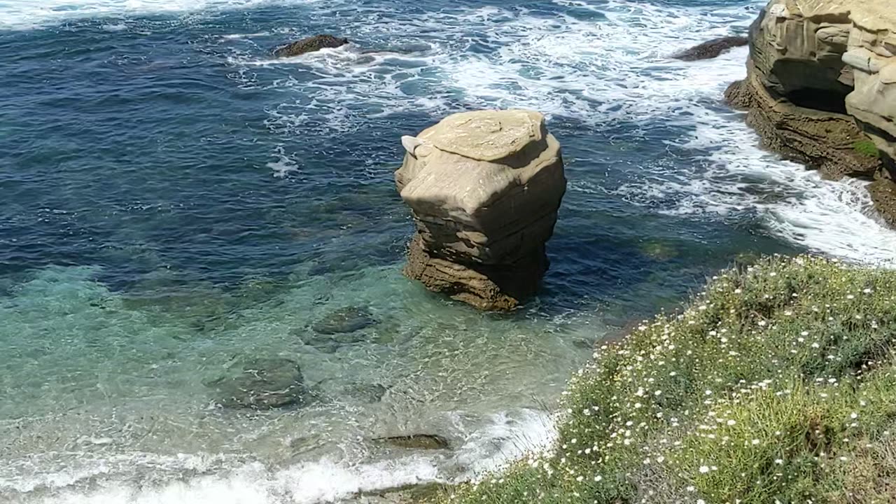 Sunny Ocean Beach Vibes #beach #waves - San Diego California - #shorts NATURE