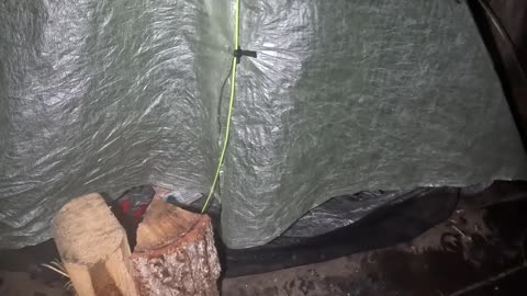 Nature's Challenge_ Dealing with Unwanted Visitors