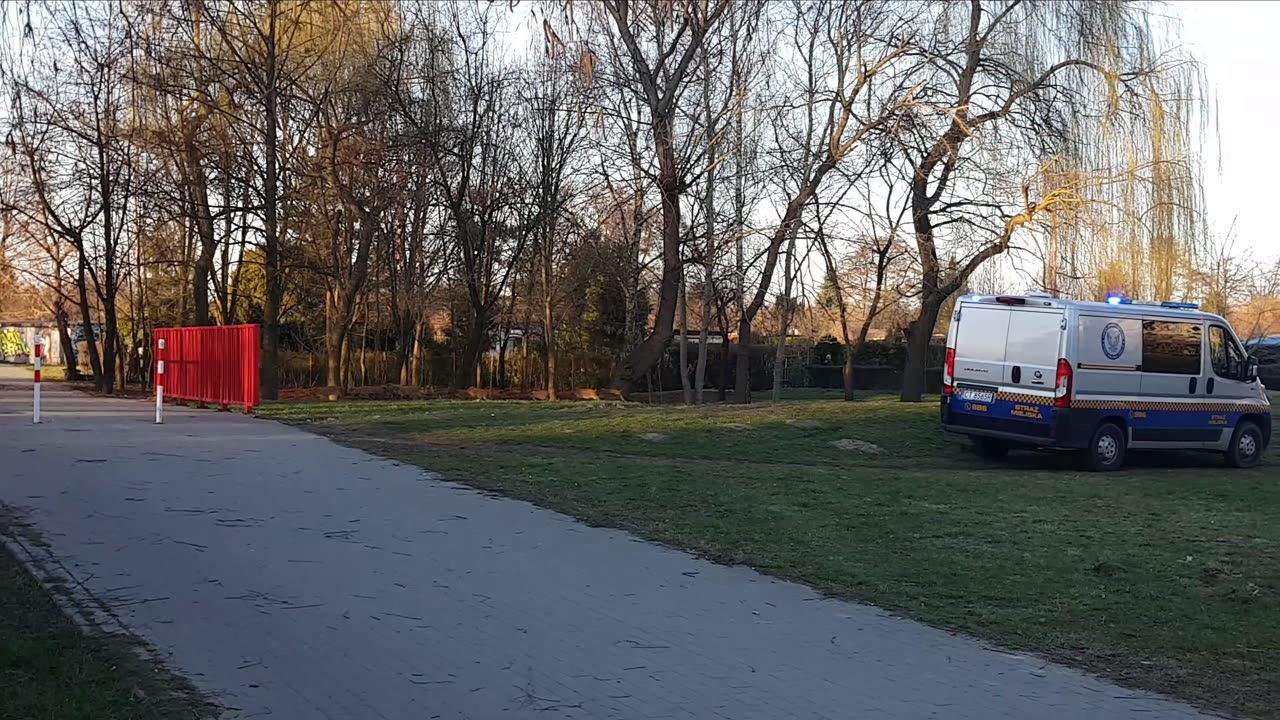 Straż Miejskie kontra dziki 04-04-2021