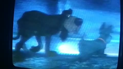 33. Lady and the Tramp VHS (1987)