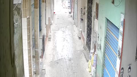 Camera1_elsayed_elsayed_20250208110000_20250208120510_4656007