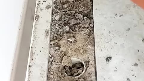 Why Hasen-Home Shower Drain Cover China