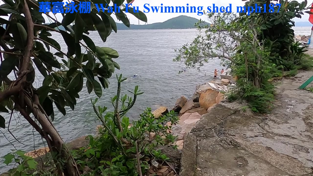 wah fu swimming shed #華富泳棚