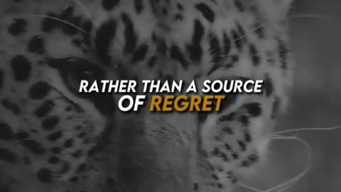 Motivational Quotes