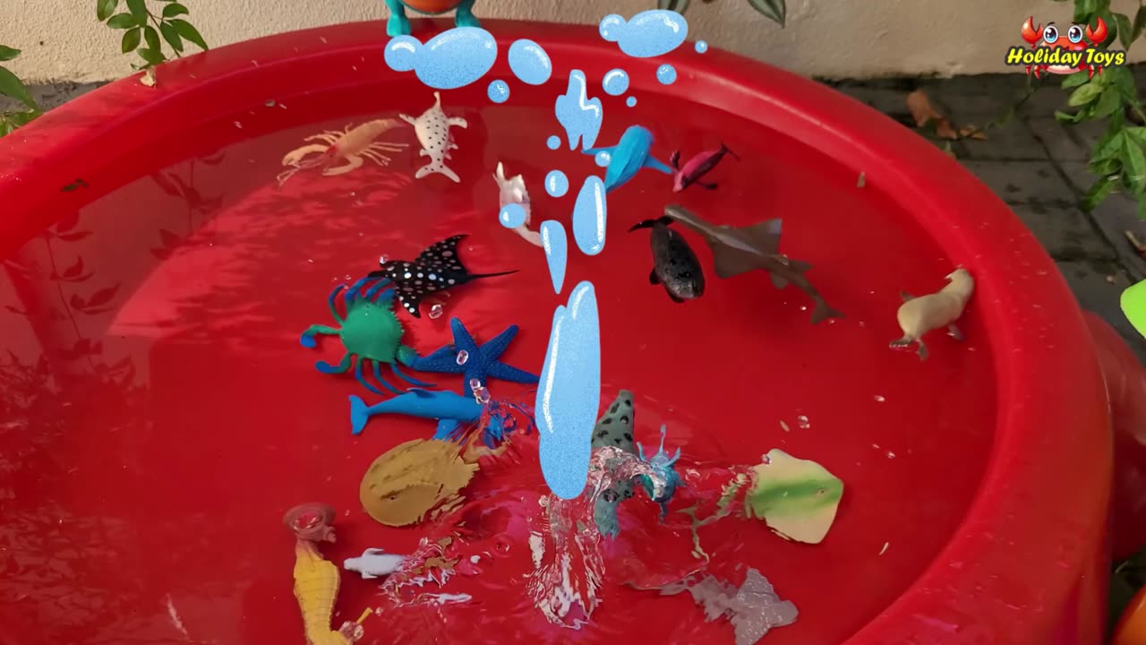 Fill Bucket with Clean Water for Bathing Sea Animals