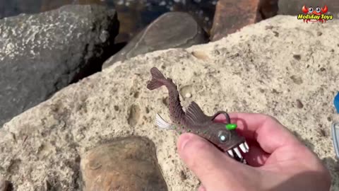 Blue Shark with Spring for Food Claw Toy